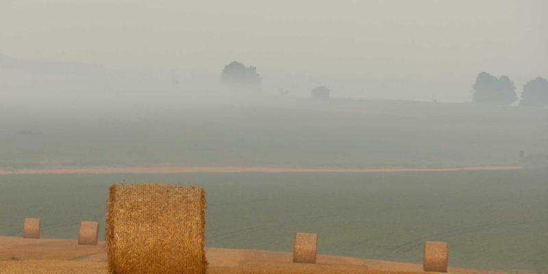 从指尖到关节的关怀：揭秘合力剪刀如何用人体工程学重塑五金工具体验