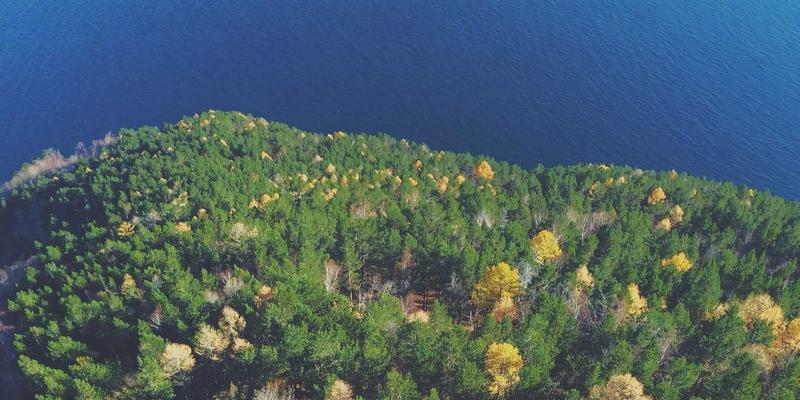 合力剪刀刀片如何通过热处理工艺实现韧性与硬度的完美平衡？